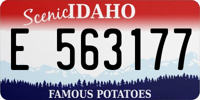 ID license plate E563177