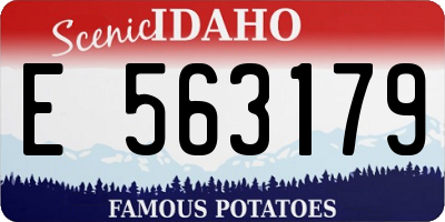 ID license plate E563179