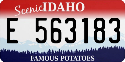 ID license plate E563183