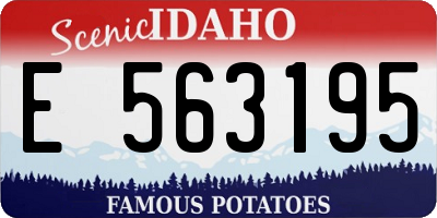 ID license plate E563195
