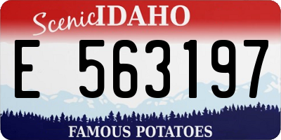 ID license plate E563197