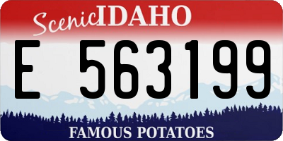 ID license plate E563199