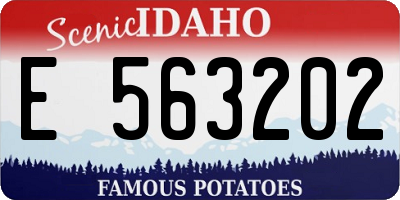 ID license plate E563202