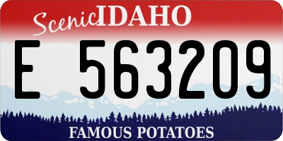 ID license plate E563209