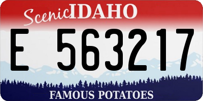 ID license plate E563217
