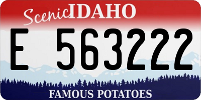 ID license plate E563222