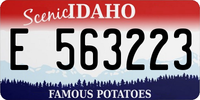 ID license plate E563223