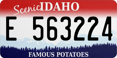 ID license plate E563224