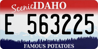 ID license plate E563225