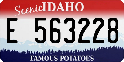 ID license plate E563228