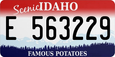 ID license plate E563229