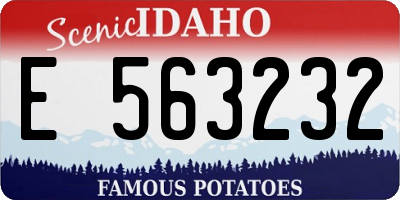 ID license plate E563232