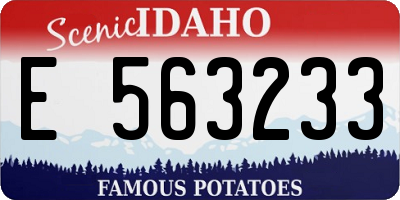 ID license plate E563233