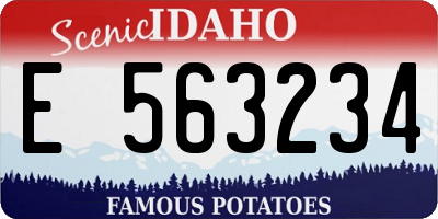 ID license plate E563234