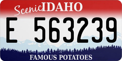 ID license plate E563239