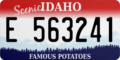ID license plate E563241