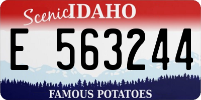 ID license plate E563244