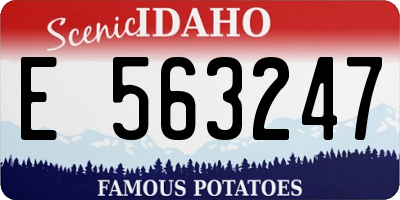 ID license plate E563247