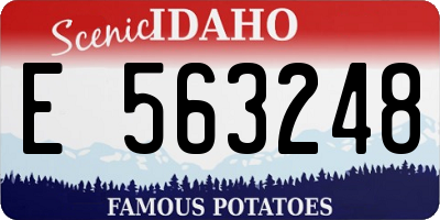 ID license plate E563248