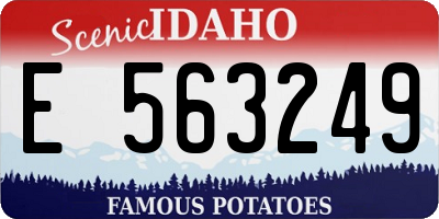 ID license plate E563249