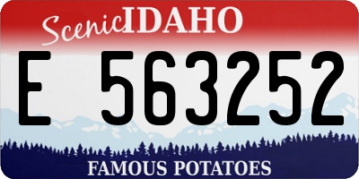 ID license plate E563252