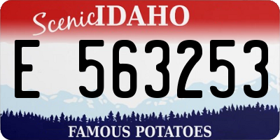 ID license plate E563253