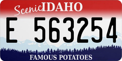 ID license plate E563254