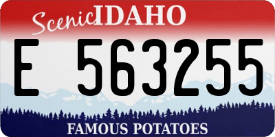 ID license plate E563255