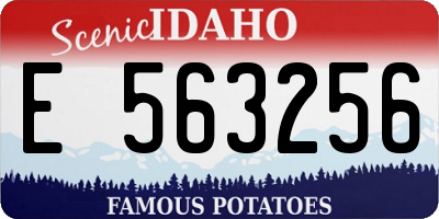 ID license plate E563256