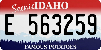ID license plate E563259
