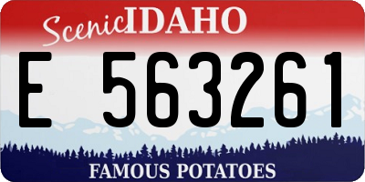 ID license plate E563261