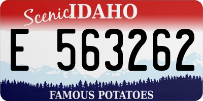 ID license plate E563262