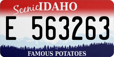 ID license plate E563263