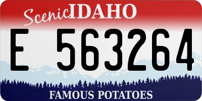 ID license plate E563264