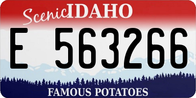 ID license plate E563266