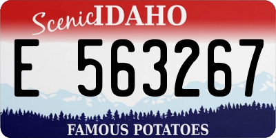 ID license plate E563267