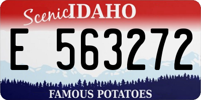 ID license plate E563272