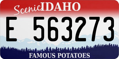ID license plate E563273