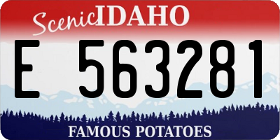 ID license plate E563281