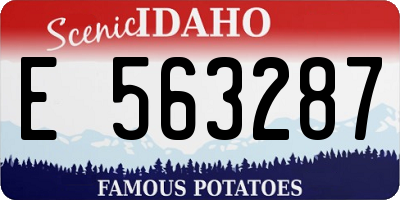 ID license plate E563287