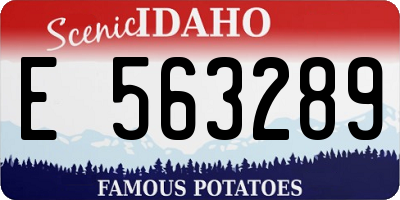 ID license plate E563289