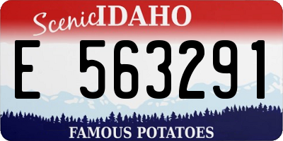 ID license plate E563291