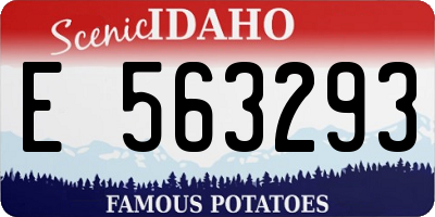 ID license plate E563293