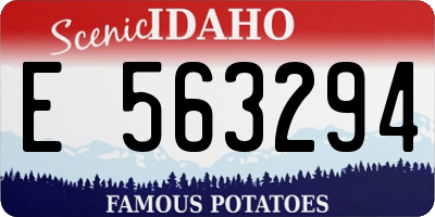 ID license plate E563294