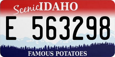 ID license plate E563298