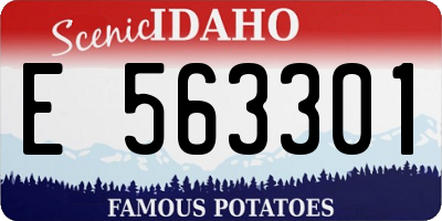 ID license plate E563301