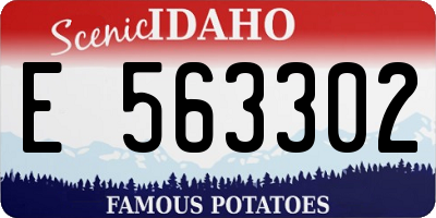 ID license plate E563302