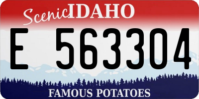 ID license plate E563304