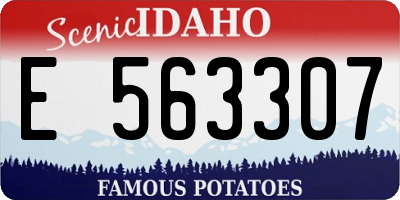 ID license plate E563307