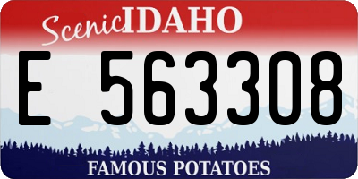 ID license plate E563308